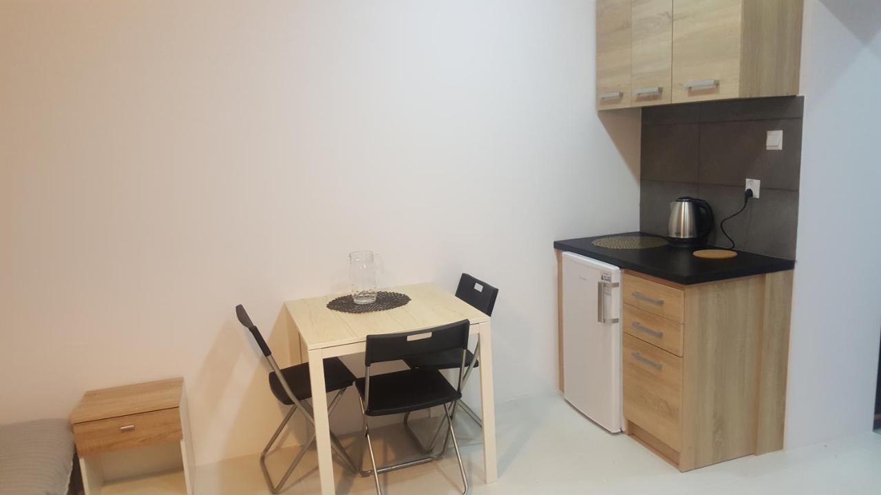 Rokicinska54 Com Apartment Лодз Екстериор снимка