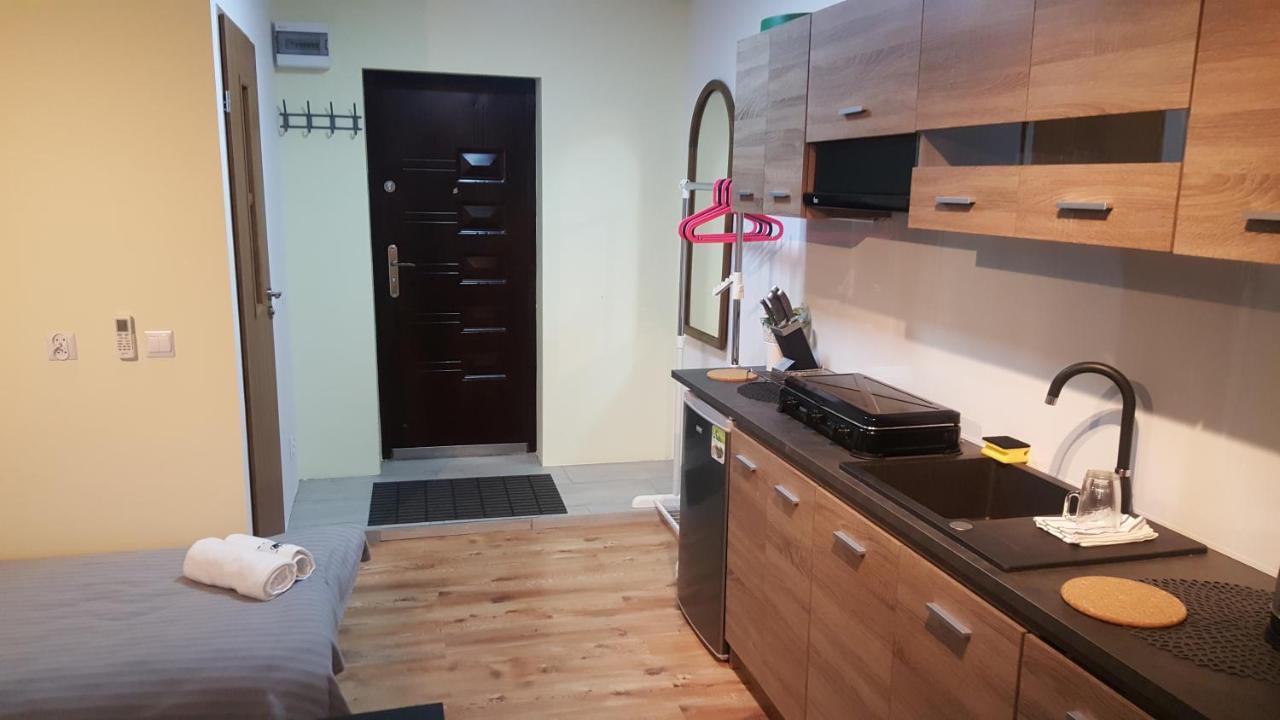 Rokicinska54 Com Apartment Лодз Екстериор снимка